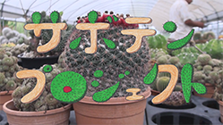 サボテンプロジェクト